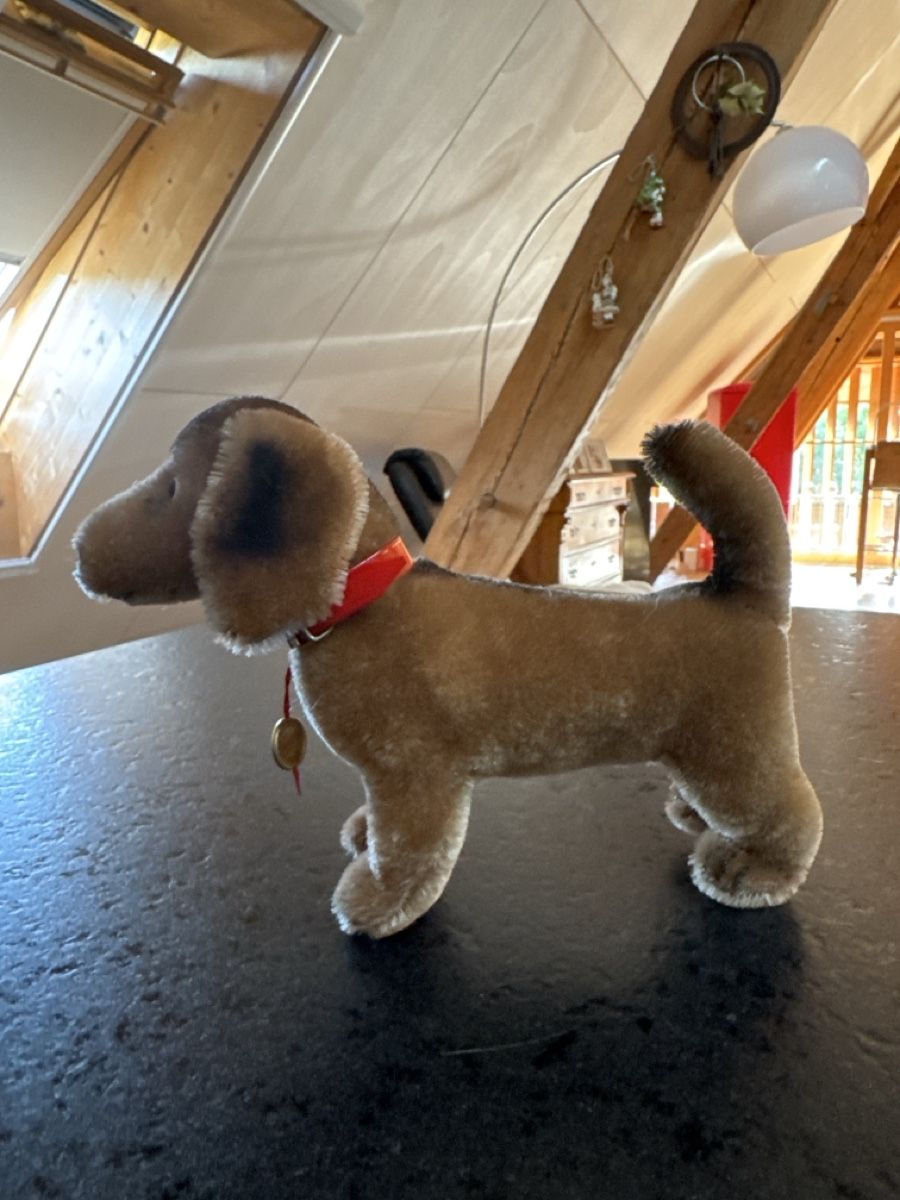 Teddy Hermann Giocattoli: Original Dackel Hermann Teddy Vintage – Nuovo (secondo la descrizione) da Schmitten FR venduto da mantom 3