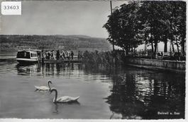 Beinwil am See - Landesteg