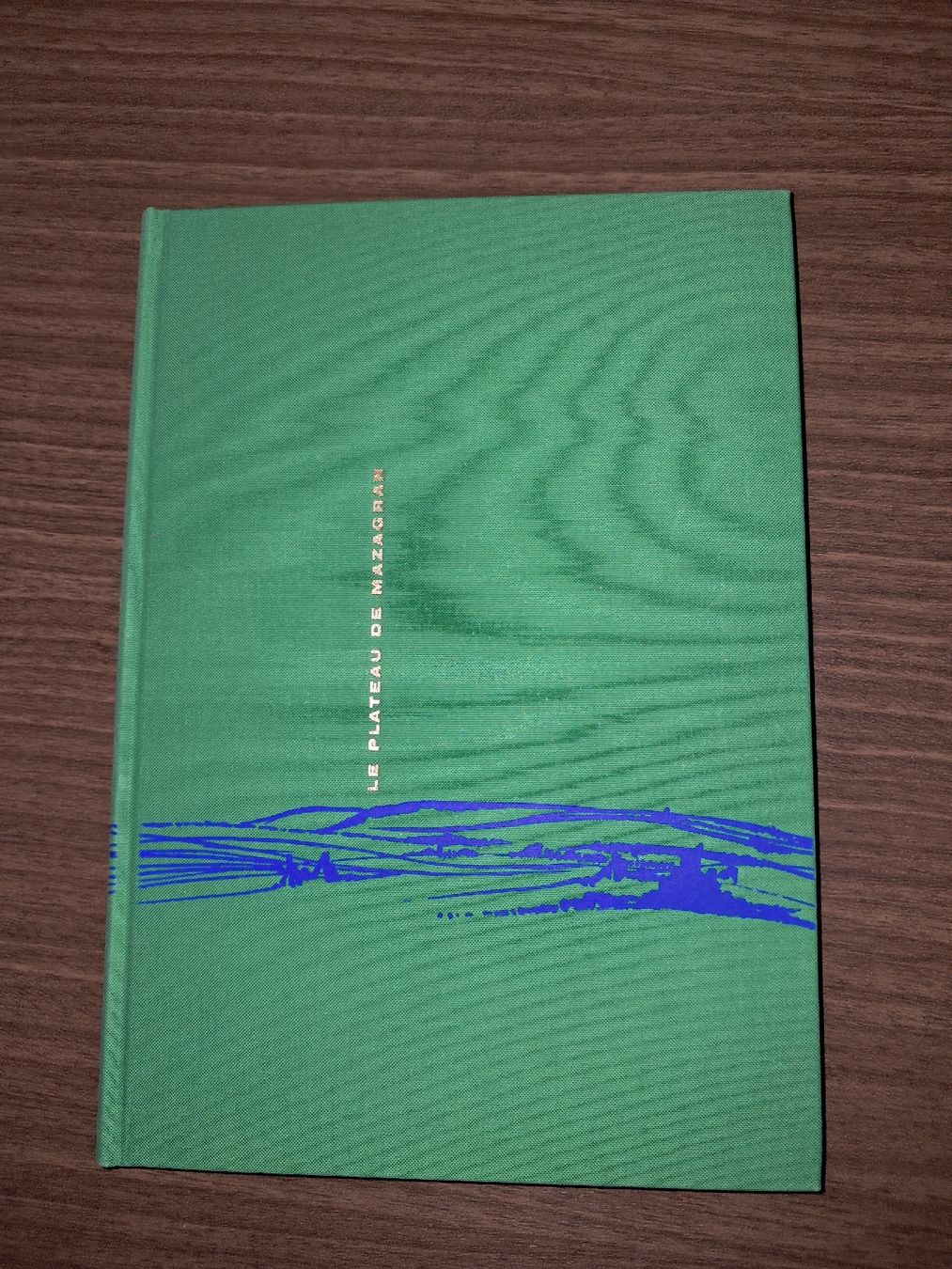 Libri: Le Plateau de Mazagran de André Dhôtel – Usato da Le locle venduto da juliensaran 1