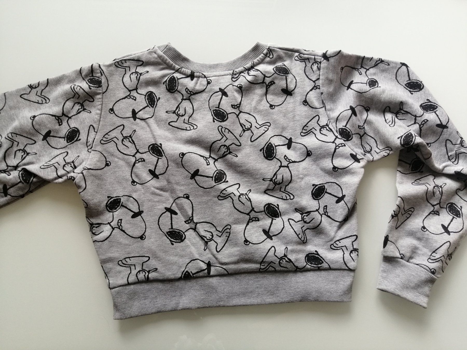 Pulls et sweat-shirts: Pullover Snoopy – Neuf (Voir description) à Biel/Bienne par M.D.C 1