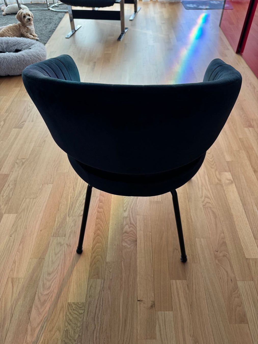 Sedie: Esszimmer Stuhl schwarz – Usato da Baar venduto da Lichtdesign 4