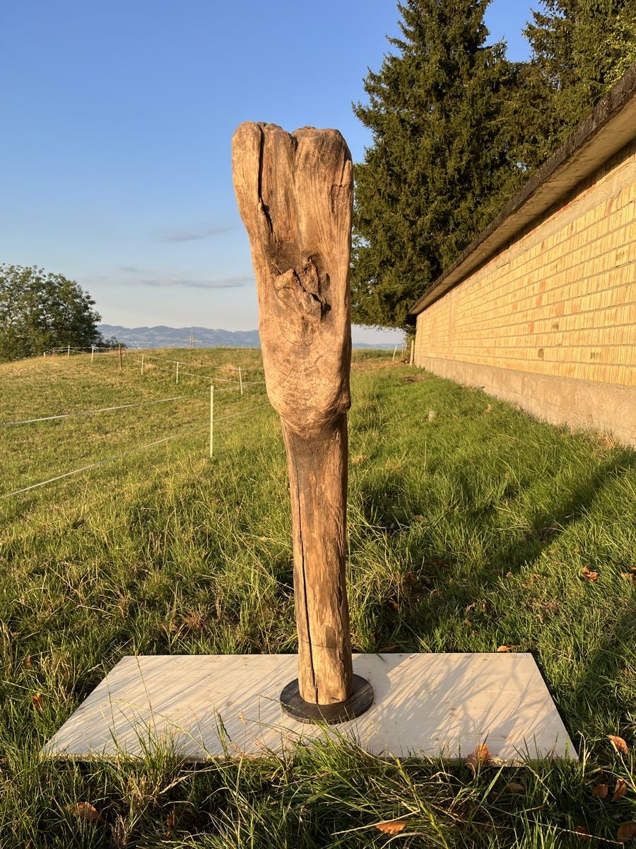 Sculture & Statue: Holzskulptur Unikat – Usato da Wangen SZ venduto da vallee 1