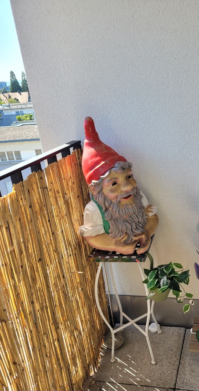 Figurines: Gartenzwerg Büste – D'occasion à Baar par Zwergen-Atelier4 1