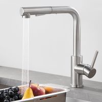 Küchenarmatur mit Brause Ausziehbar, 2 Strahlarten Edelstahl