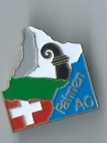 Placchette & Badge: Basel-Stadt Kantons - Pin – Usato da Zürich venduto da t24_de