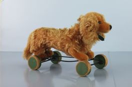 Steiff, Hund, Dackel, Waldi auf Räder, Nachzieh-Tier, 40er