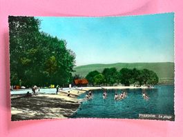 Yverdon - la plage - belebt