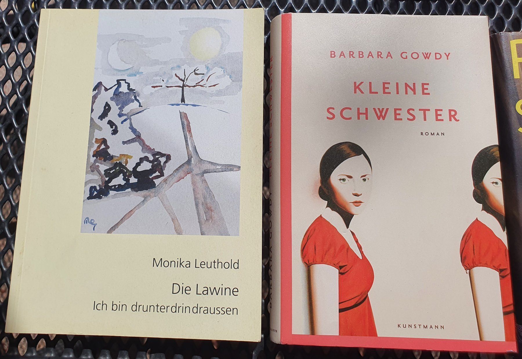 Libri: Diverse Bücher – Usato da Alten venduto da Regenwasser 3