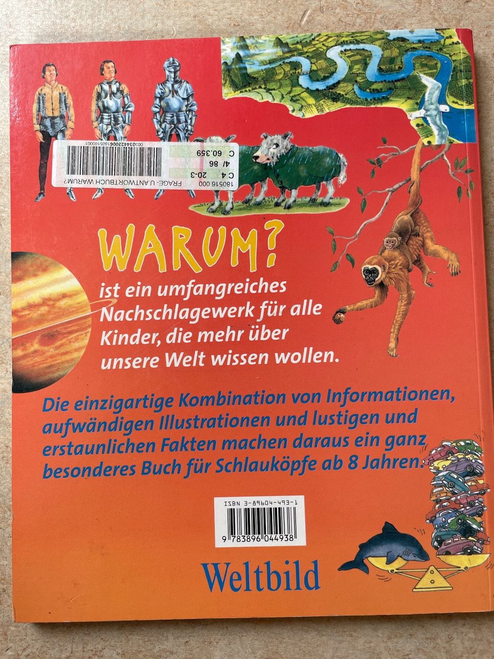 Libri: Frage- und Antwortbuch WARUM? – Usato da Klingnau venduto da vollmond36 1