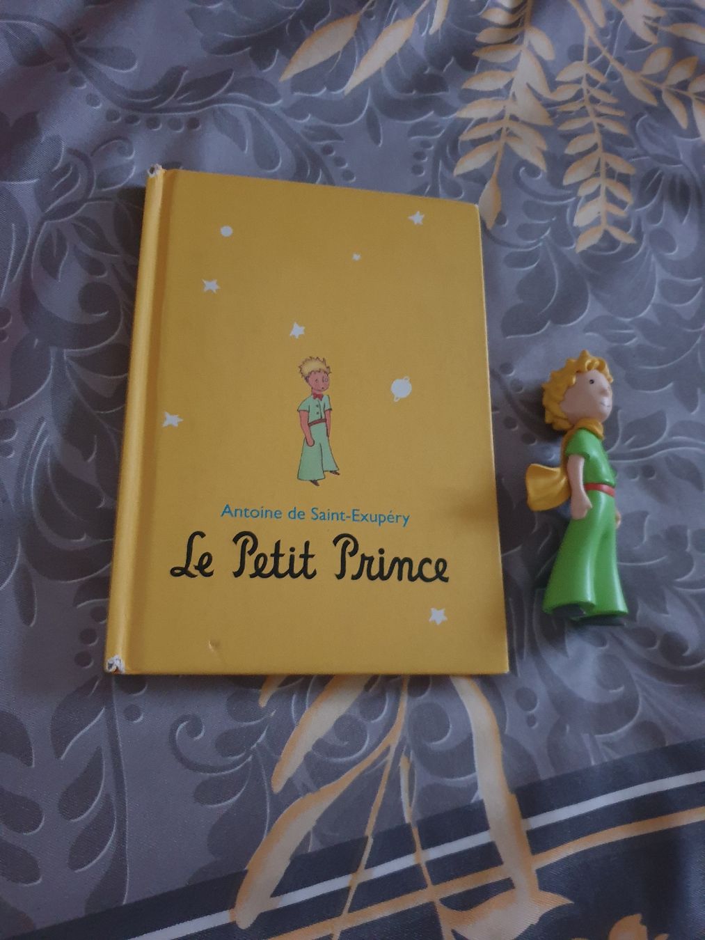 Bücher: Livres Petits Prince – Gebraucht aus Fribourg von mal_8zjh 2