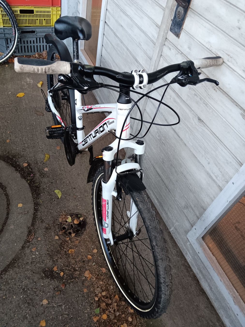 Biciclette: Velo CENTURION BACKFIRE FIT 100 – Usato da Dietikon venduto da Sauber64 7