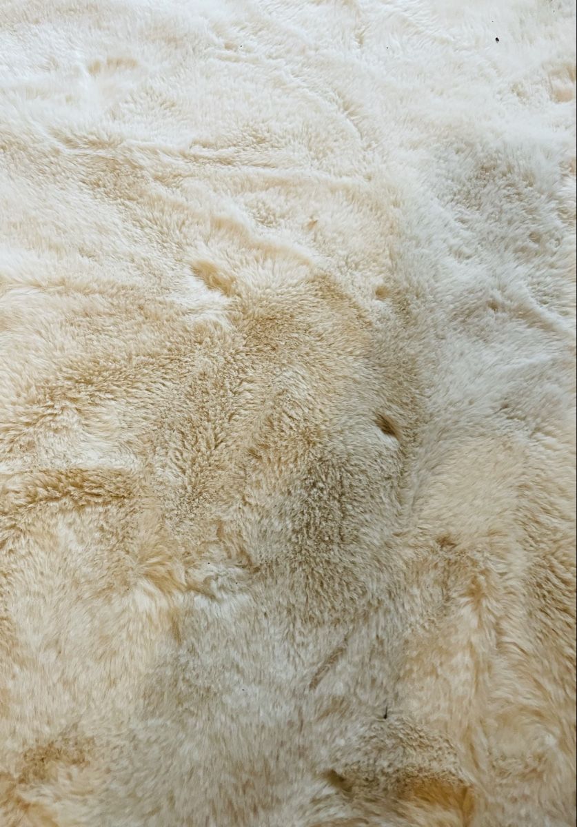 Tappeti: Flauschiger Teppich in Creme - Kuschelig! – Usato da Au ZH venduto da Jaggy4 1