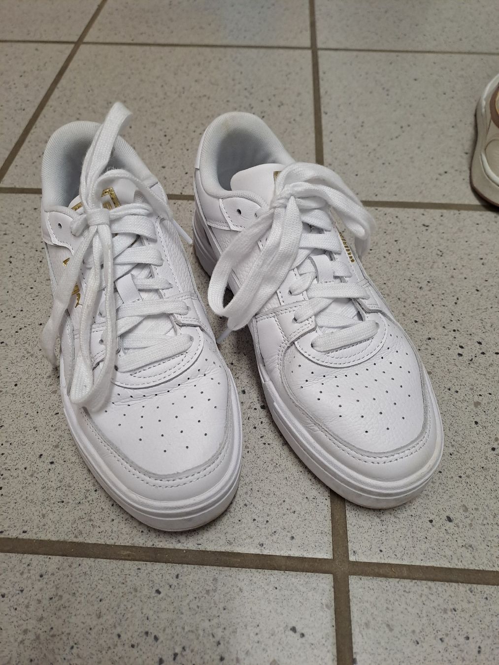 Puma Scarpe da donna: Puma Schuhe Grösse 39 – Usato da Oberflachs venduto da lea_6zzp 1