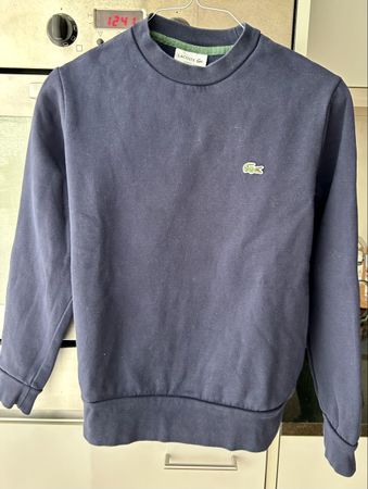 Dunkelblauer Pullover von Lacoste