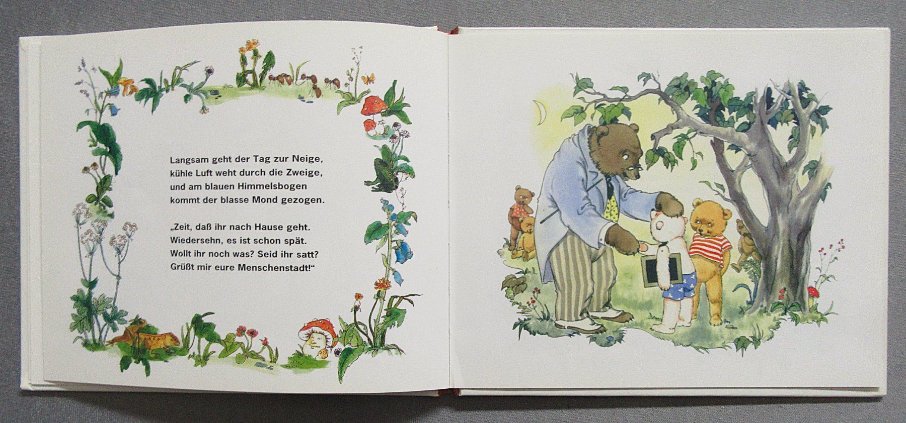 Libri: Teddy und sein Bruder - kleines Bilderbuch – Usato da Auenstein venduto da Padabimbim 4