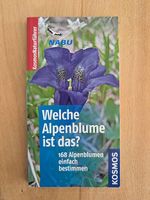 Welche Alpenblume ist das? 