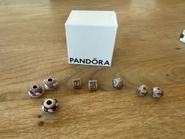 8 Pandora Charms