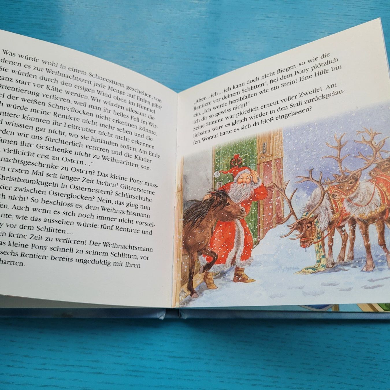 Libri: Das Weihnachtspony - Kai Haferkamp – Usato da SCHÜBELBACH venduto da CoKaHa 2