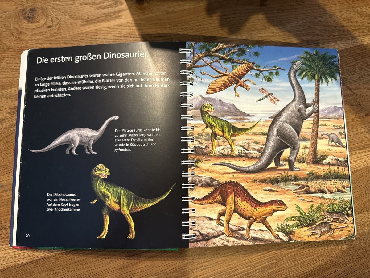 Bücher: Dino Buch – Gebraucht aus Sissach von jr814 1