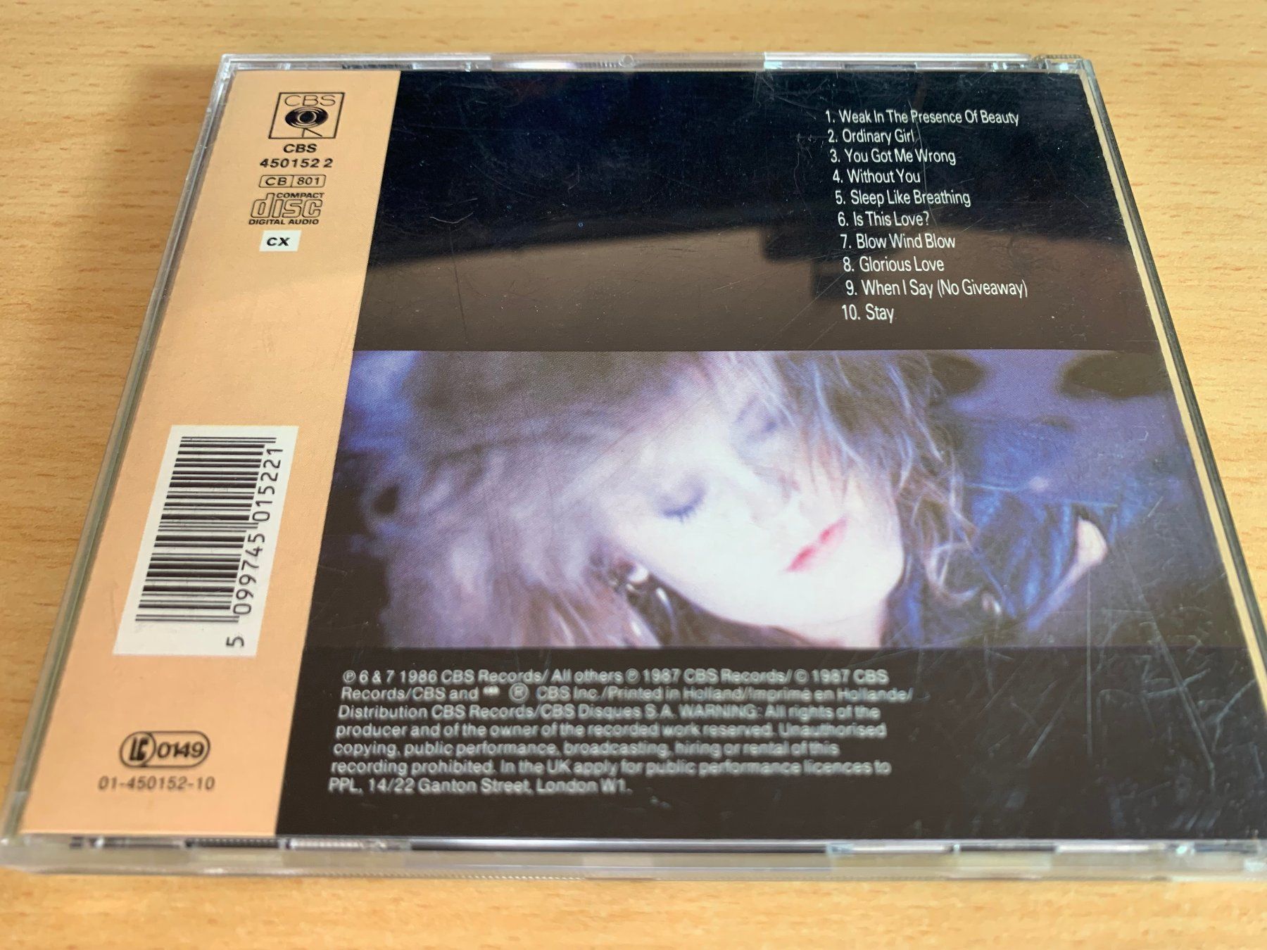 CD: Alison Moyet – Raindancing – Usato da Rikon im Tösstal venduto da Alpenmutz 1