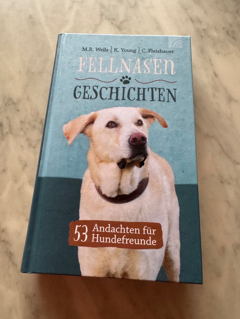 Libri: FELLNASEN GESCHICHTEN – Nuovo (secondo la descrizione) da hägendorf venduto da twilightprincess