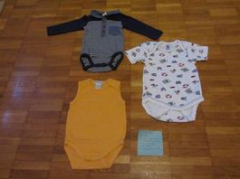 Lot de 3 bodys taille 62 en excellent état
