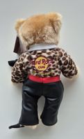 Hard Rock Teddy