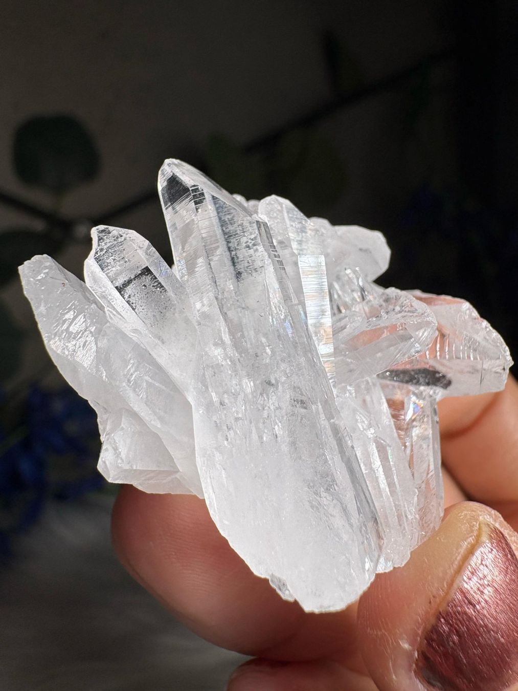 Minerali & Pietre curative: Kolumbianischer Lemurian-Quarz-Cluster – Nuovo (secondo la descrizione) da Neuheim venduto da m.hald 7
