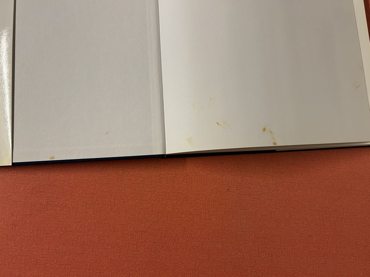 Libri: Rita Perrier-De Bruin, Kunstbuch, Malerei – Usato da Lanzenhäusern venduto da vic63 2