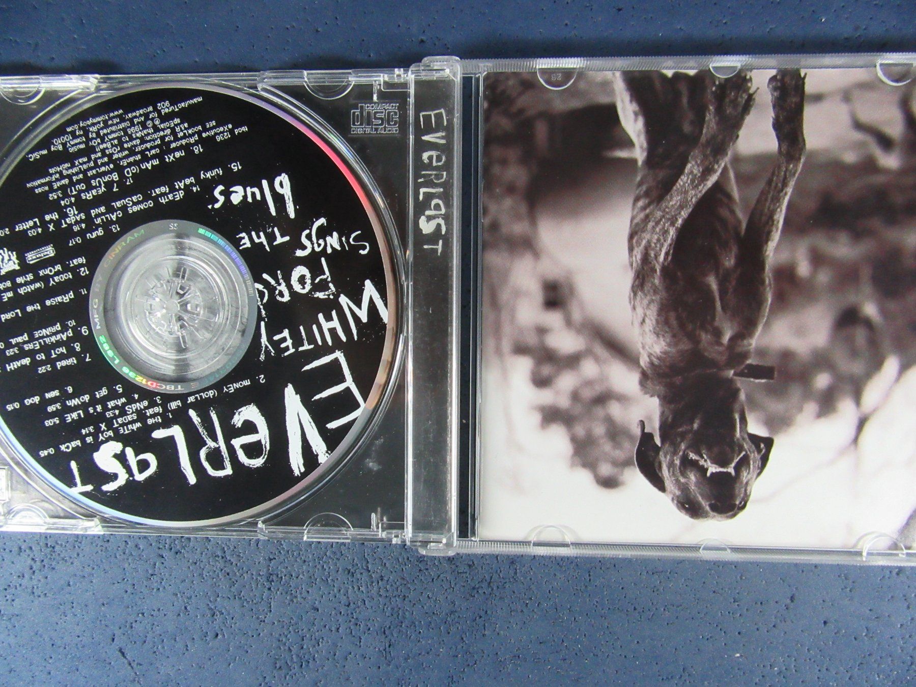 CD: WHITEY FORD CD SINGS THE BLUES " EVERLAST" – Usato da Ettingen venduto da Hausi4711 2
