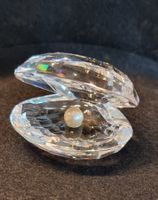 Swarocski Kristall Muschel Deko mit Perle Sammler Geschenk