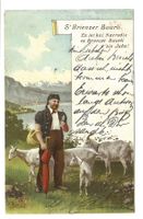S'Brienzer Buurli (BE) Bauer mit Ziegen - Spruch - 1905
