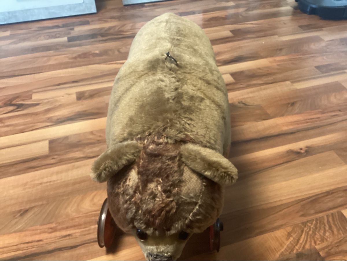 Steiff Spielzeuge: ALTER STEIFF TEDDY AUF RÄDER – Gebraucht aus Münchenstein von NoSu98 2
