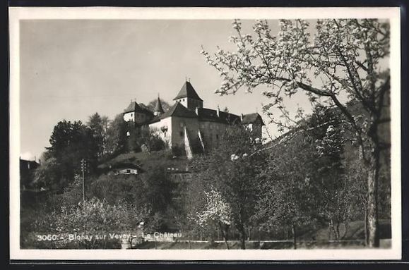Ansichtskarten: AK Blonay sur Vevey, Le Chateau – Gebraucht aus Berlin von bartko-reher