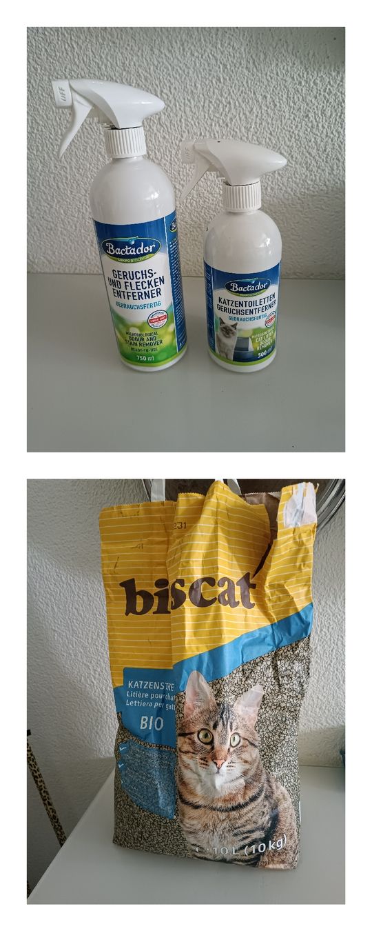 Produits d'entretien: Katzen Geruchs/Fleckenentferner + Katzenstreu + Filter NEU – D'occasion à Binz par julijuli