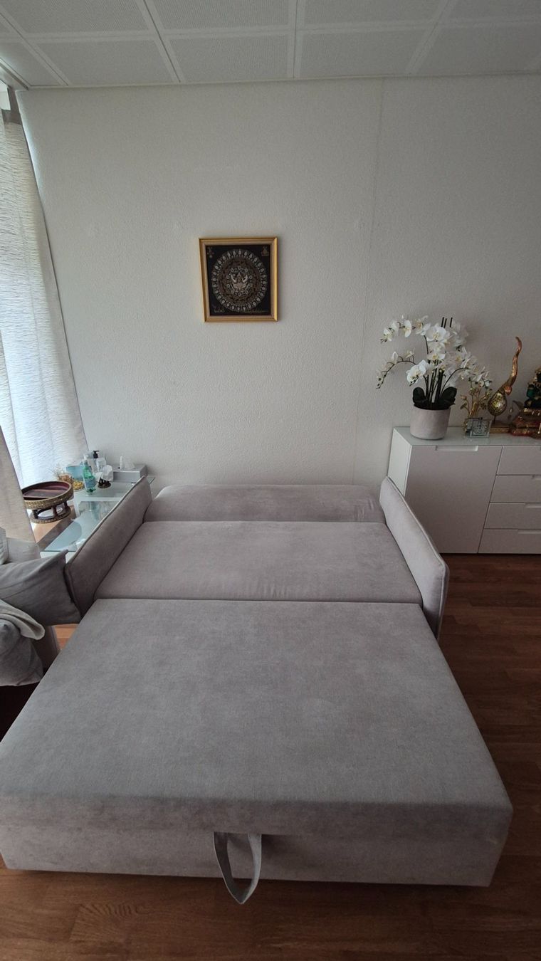 Conforama Divani: Bettsofa Stoff hellgrau sehr gut erhalten – Usato da Zürich venduto da rog_v2f5 1