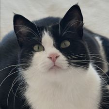 Profile image of akirasora