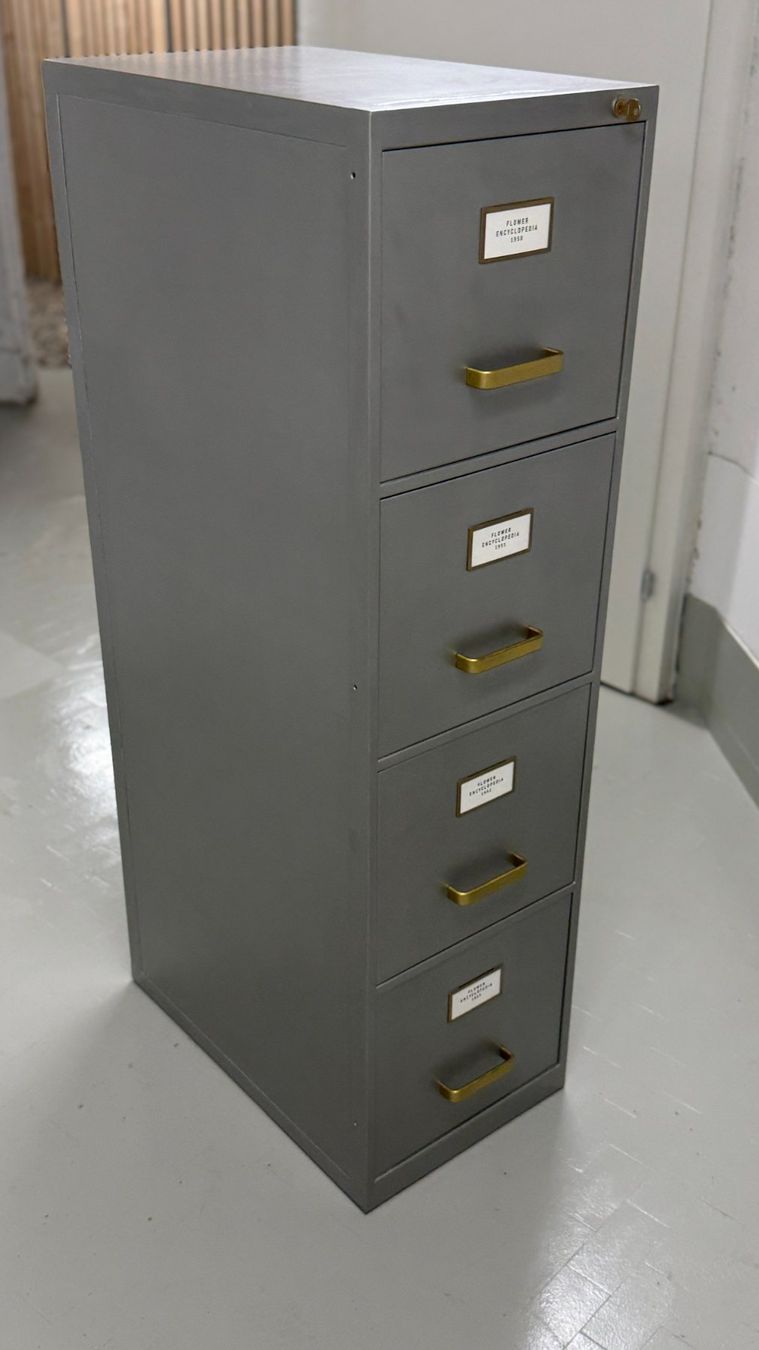 Armadi: Aktenschrank, Schubladenstock, Silber – Usato da St. Gallen venduto da Studio_Industrial 7