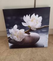 Schönes Bild Kirschblüten Zen 28x28cm