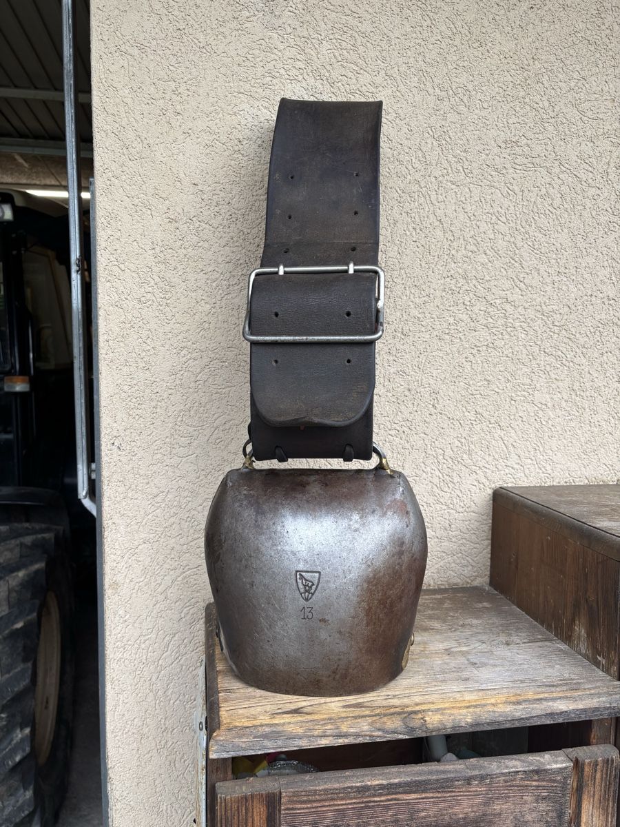 Campanacci mucche: Firmann NR 13 – Usato da Schangnau venduto da Roseggli82