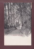 KÜSSNACHT - Hohle Gasse - 1904