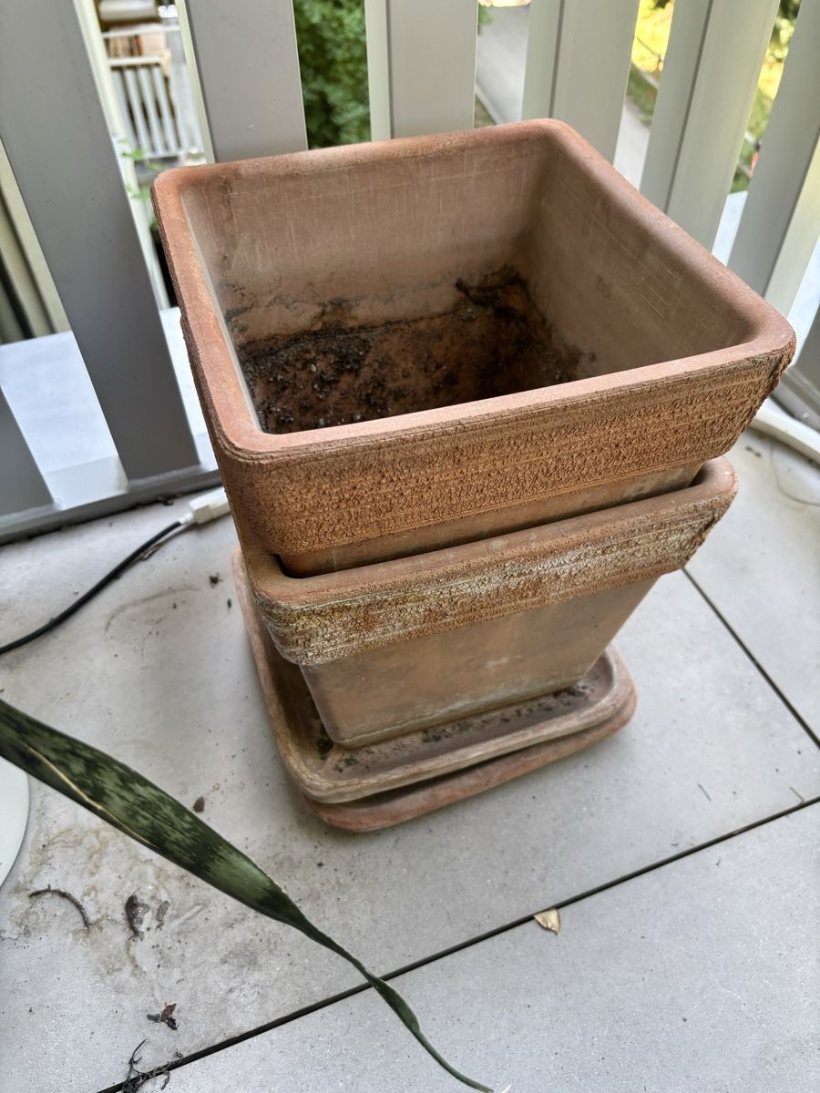 Blumentöpfe: Terracotta planters set of 2  – Gebraucht aus Zürich von O.Bond