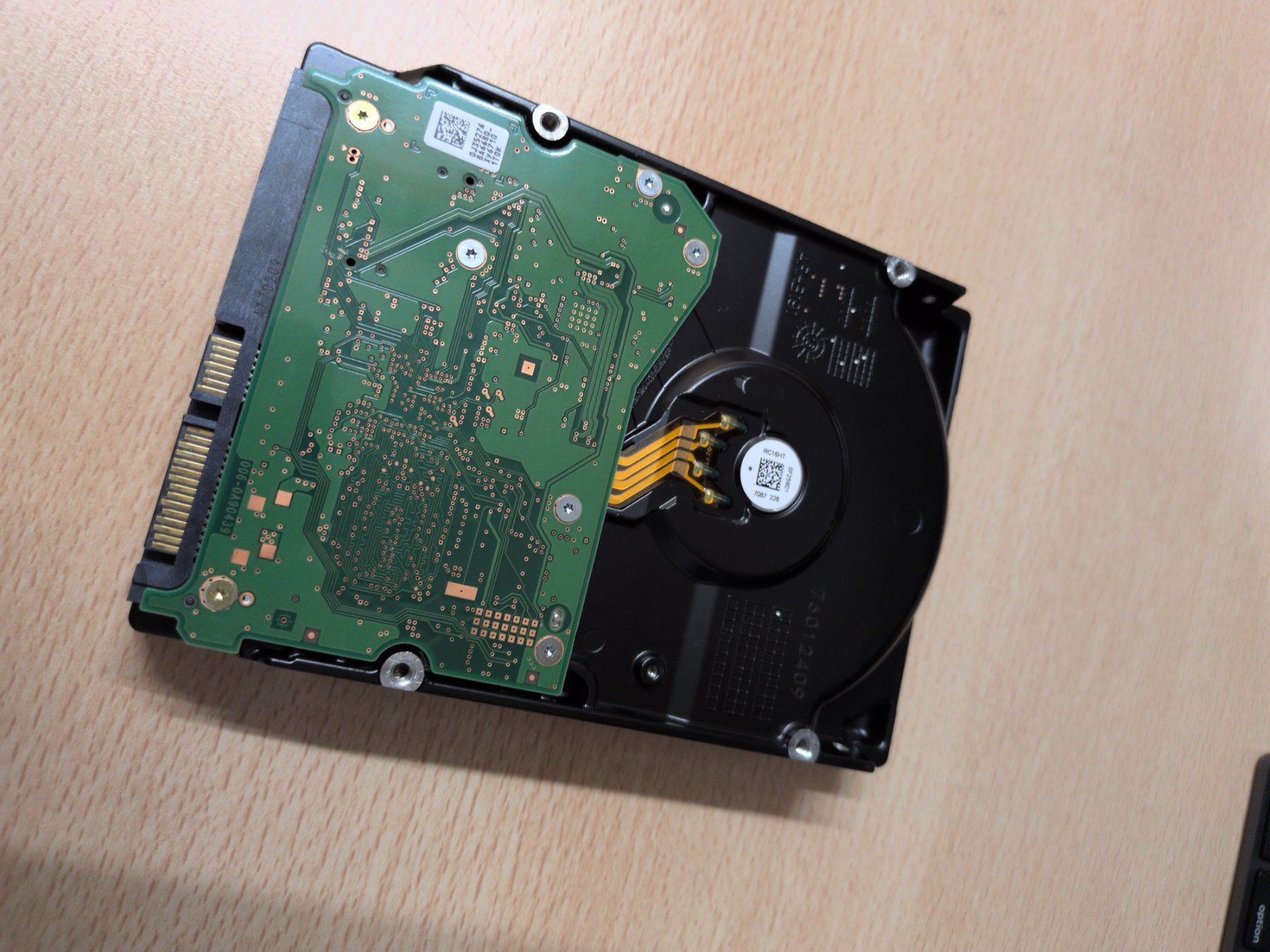 Western Digital Dischi rigidi: WD Gold 8TB – Usato da Adliswil venduto da lul_5h6f 2