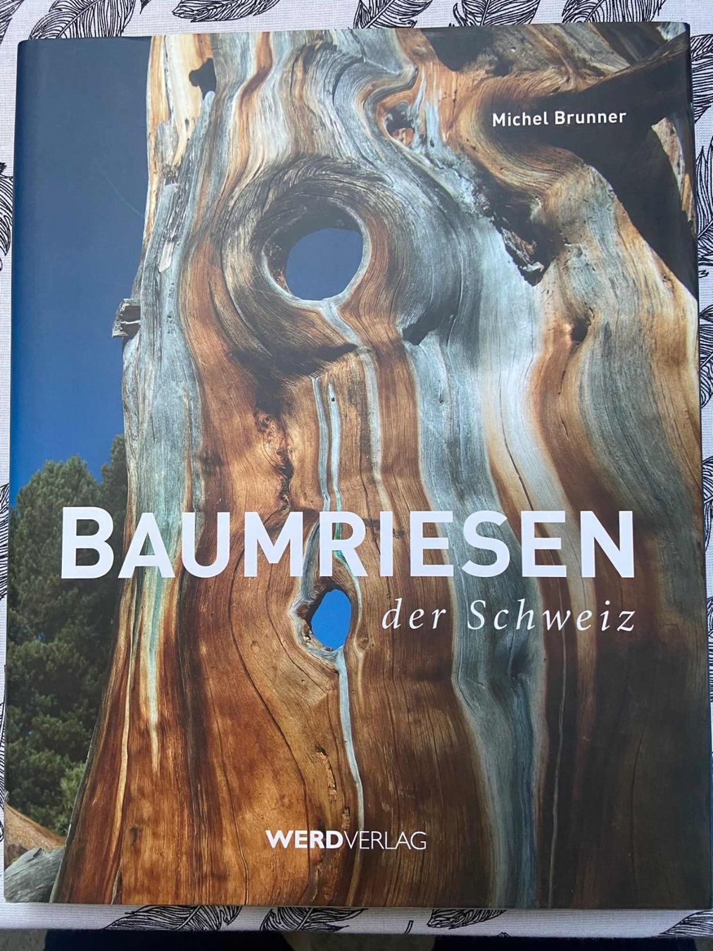 Libri: Baumriesen - Buch von Michael Brunner, neuwertig, ungelesen – Nuovo (secondo la descrizione) da Oberuzwil venduto da gca_n6py