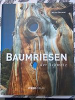Baumriesen - Buch von Michael Brunner, neuwertig, ungelesen