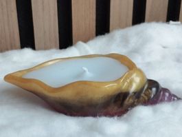 Muschelkerze
