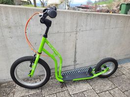 Trotti Yedoo New WZOOM  grün