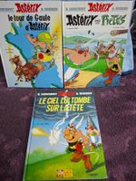 Asterix Comic-Buch-Set: Tour de Gaule und mehr! Top!