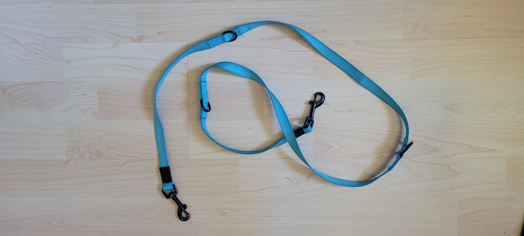 Guinzagli & Collari: Hundeleine und Halsband – Usato da Winterthur venduto da juze_b 2
