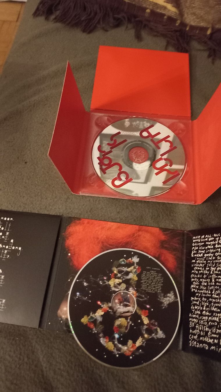 CDs: Björk CD Sammlung - Top Zustand - Schnapp sie dir! – Gebraucht aus Olten von Donatello1984 5